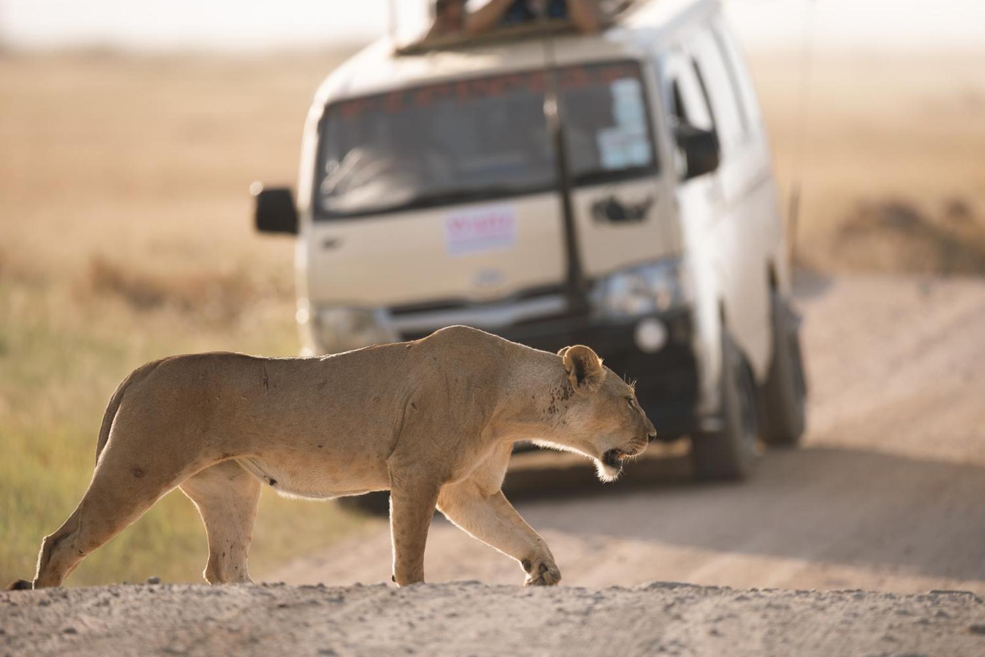 Oloitokitok Kilimanjaro View Cabin-Amboseli חדר תמונה