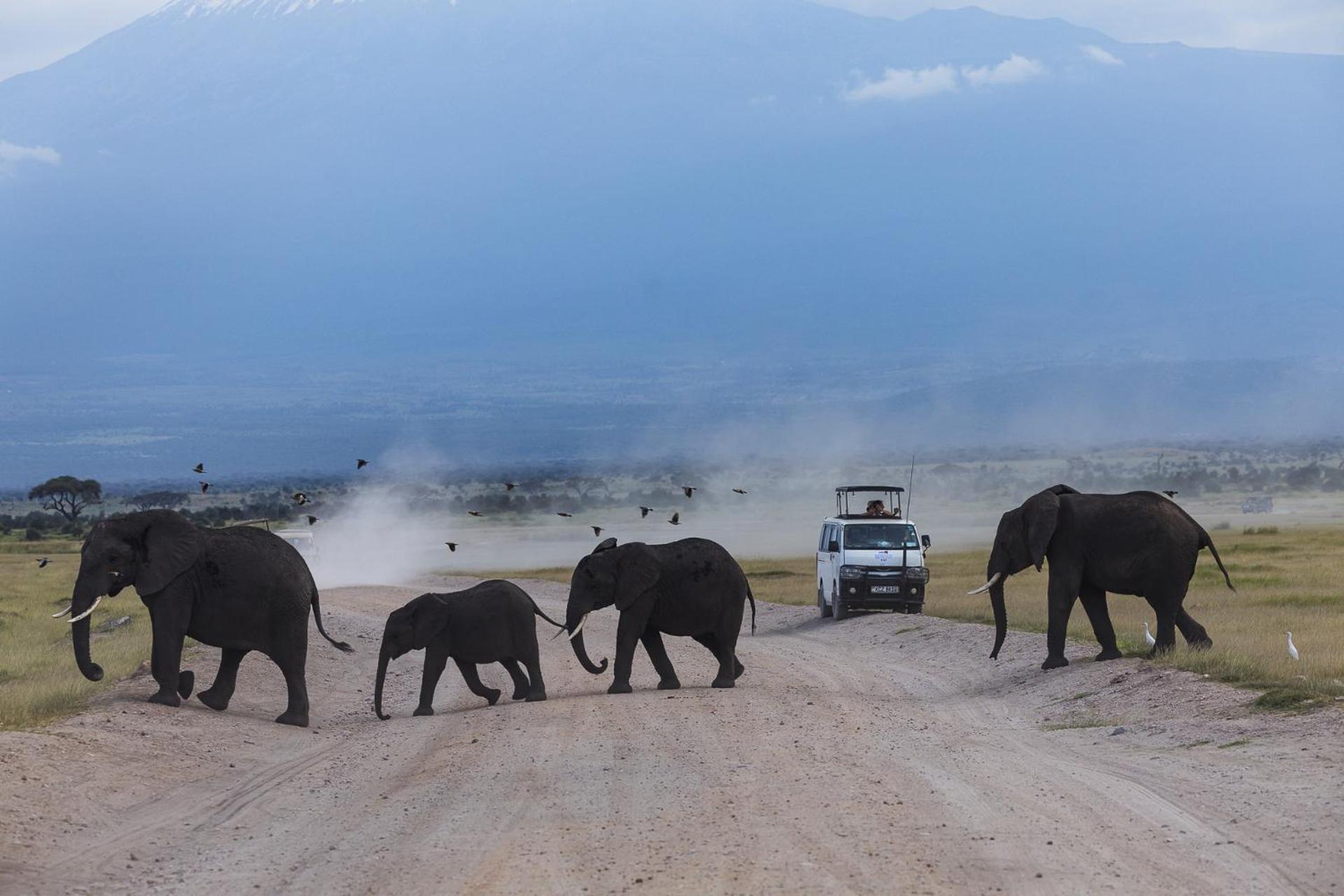 Oloitokitok Kilimanjaro View Cabin-Amboseli חדר תמונה